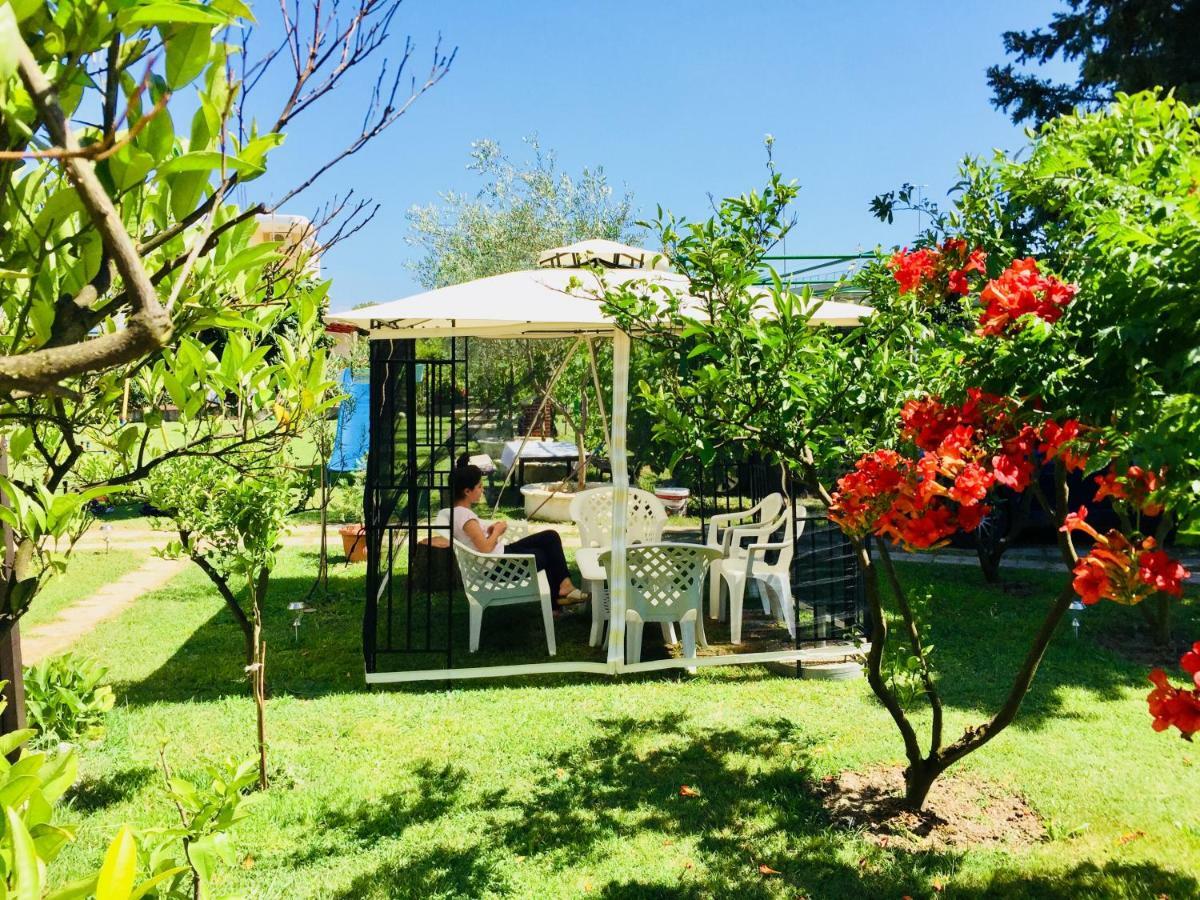 Vakantiehuis Flamingo *